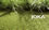 gras